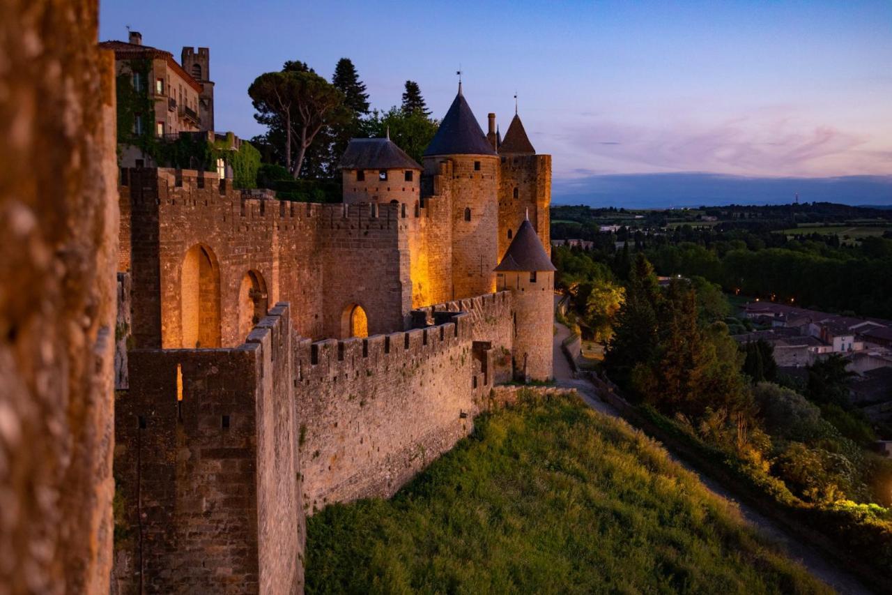 Tout Confort ! Calme, Climatisation, Piscine, Parking Gratuit, Grande Terrasse, Netflix, Wifi Carcassonne Dış mekan fotoğraf