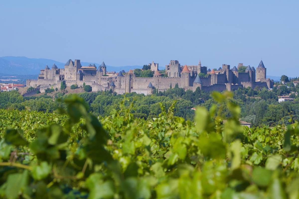 Tout Confort ! Calme, Climatisation, Piscine, Parking Gratuit, Grande Terrasse, Netflix, Wifi Carcassonne Dış mekan fotoğraf